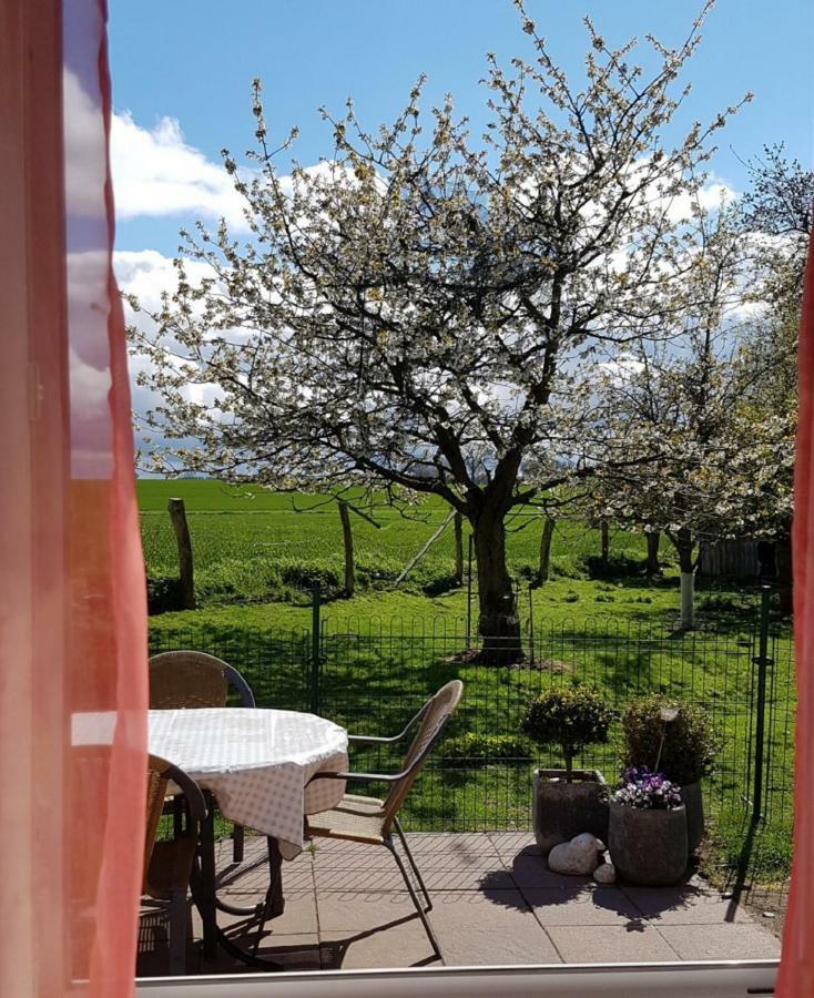 Ferienhof Albert Gremersdorf Luaran gambar